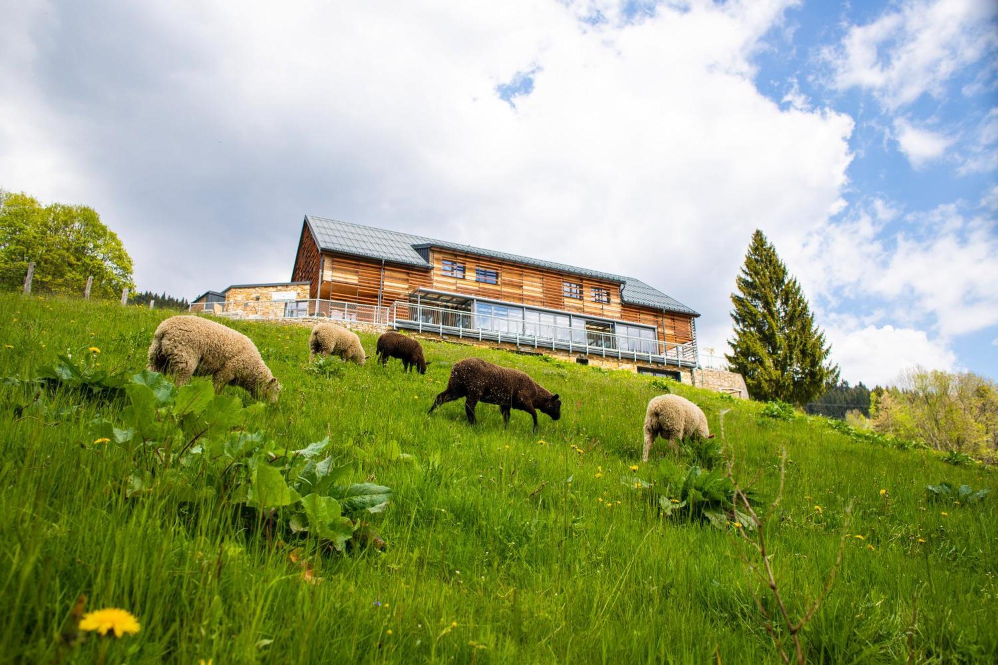 Amenity Hotel & Resort Špindlerŭv Mlýn Esterno foto