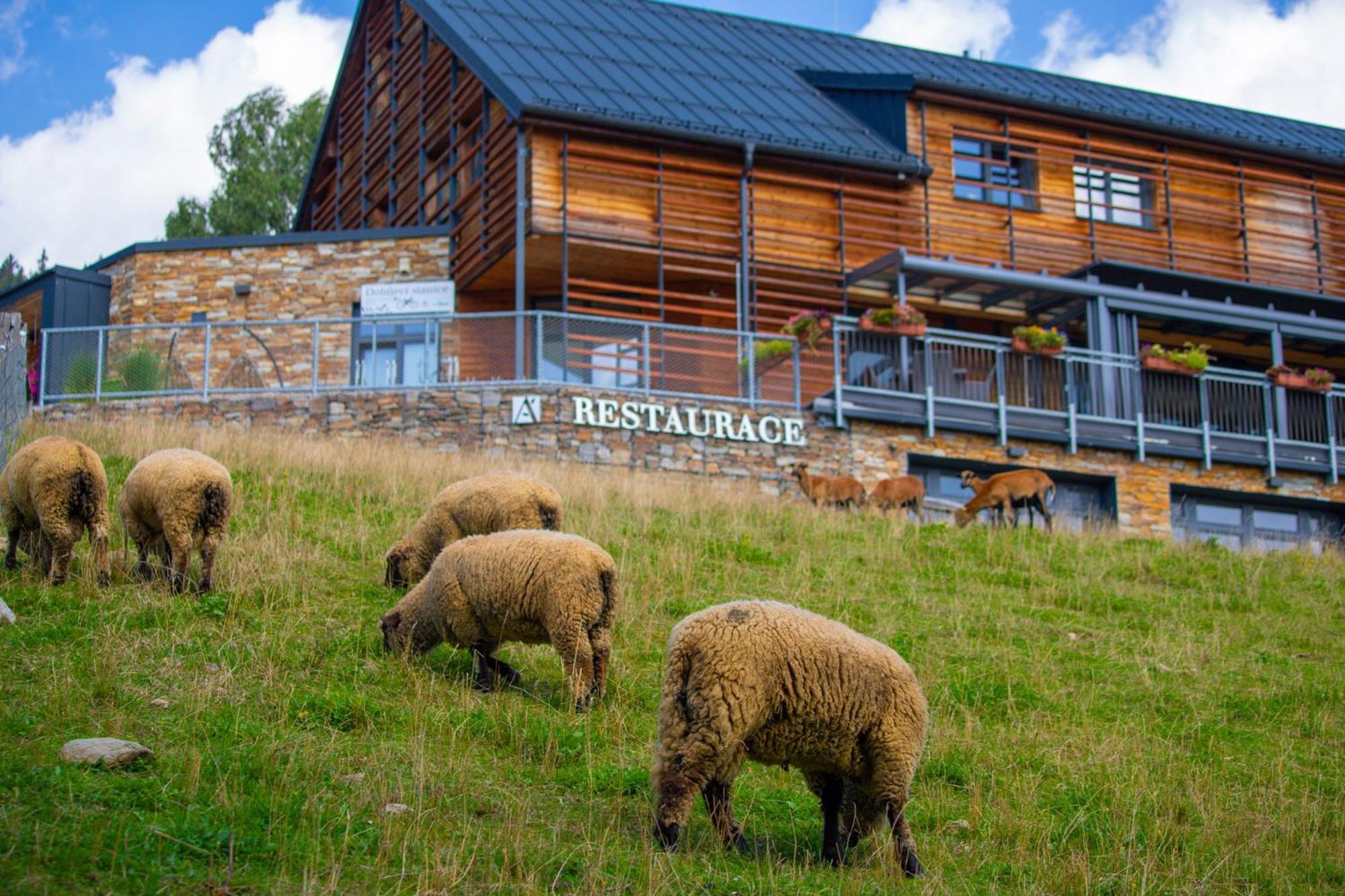 Amenity Hotel & Resort Špindlerŭv Mlýn Esterno foto